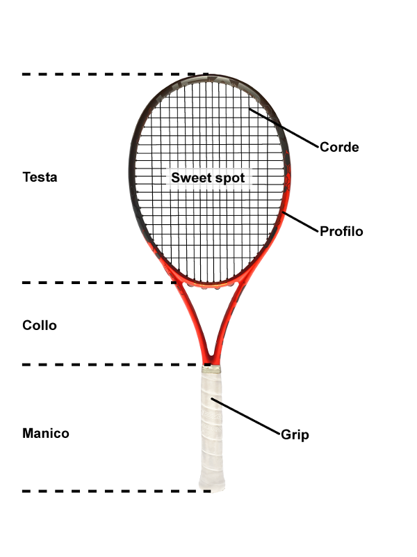 Grafica delle parti di una racchetta da tennis