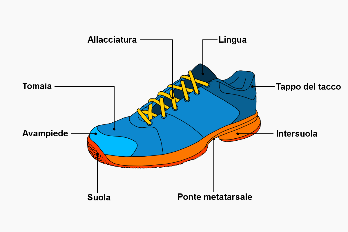 Grafica della costruzione di una scarpa da tennis