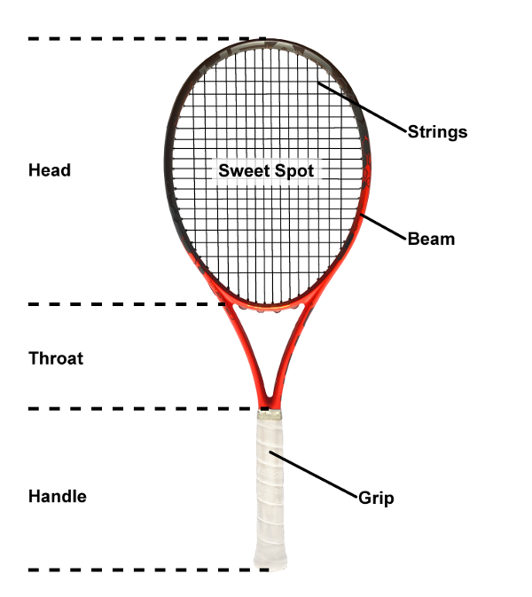 diagramm of the parts of a tennis racquet