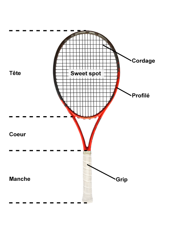 Graphique des parties d'une raquette de tennis